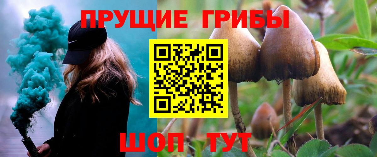 Галлюциногенные грибы ЛСД Новошахтинск